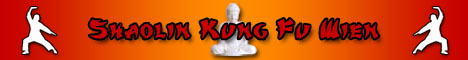 Shaolin Kung Fu Wien