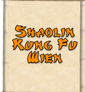 Shaolin Kung Fu Wien Logo