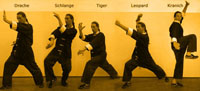shaolin 5 tiere