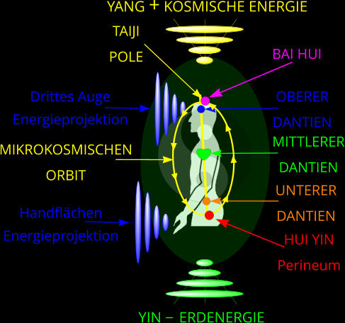 YANG + KOSMISCHE ENERGIE YIN    ERDENERGIE OBERER DANTIEN TAIJI POLE MITTLERER DANTIEN UNTERER DANTIEN MIKROKOSMISCHEN ORBIT Drittes Auge Energieprojektion Handflchen Energieprojektion BAI HUI HUI YIN Perineum