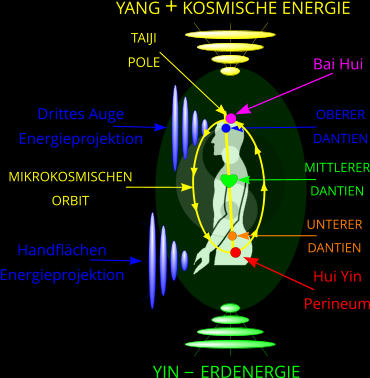 YANG + KOSMISCHE ENERGIE YIN    ERDENERGIE OBERER DANTIEN TAIJIPOLE MITTLERER DANTIEN UNTERER DANTIEN MIKROKOSMISCHEN ORBIT Drittes Auge Energieprojektion Handflchen Energieprojektion Bai Hui Hui Yin Perineum