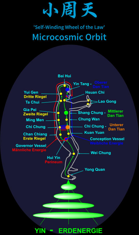 YIN  -   ERDENERGIE Bai Hui Chi Chung Hui Yin Perineum Yong Quan Chan Chiang Erste Riegel Yui Gen Dritte Riegel Gia Pei  Zweite Riegel Ta Chui Hsuan Chi Kuan Yuan Yin Tang - Oberer  Dan Tian Shang Chung - Mittlerer Dan Tian Chi Chung - Unterer Dan Tian Wei Chung Ming Men Chung Wan  Conception Vessel Weibliche Energie  Governor Vessel Mnnliche Energie Lao Gong