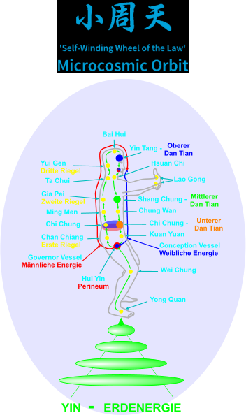 YIN  -   ERDENERGIE Bai Hui Chi Chung Hui Yin Perineum Yong Quan Chan Chiang Erste Riegel Yui Gen Dritte Riegel Gia Pei  Zweite Riegel Ta Chui Hsuan Chi Kuan Yuan Yin Tang - Oberer  Dan Tian Shang Chung - Mittlerer Dan Tian Chi Chung - Unterer Dan Tian Wei Chung Ming Men Chung Wan  Conception Vessel Weibliche Energie  Governor Vessel Mnnliche Energie Lao Gong